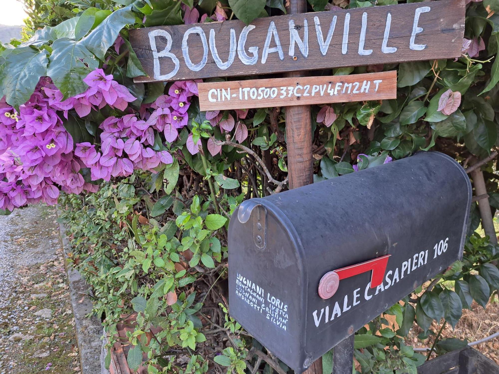 Casa Vacanze “Bouganville” Loc Avane Pisa 베키아노 외부 사진